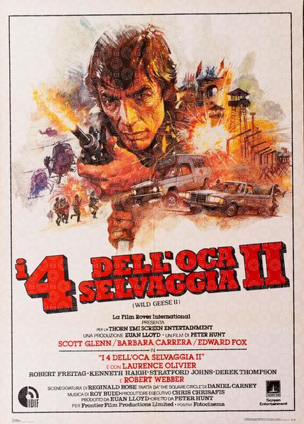 I quattro dell'oca selvaggia II