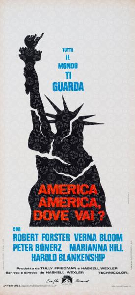 America, America, dove vai?