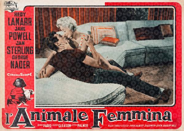 L'animale femmina