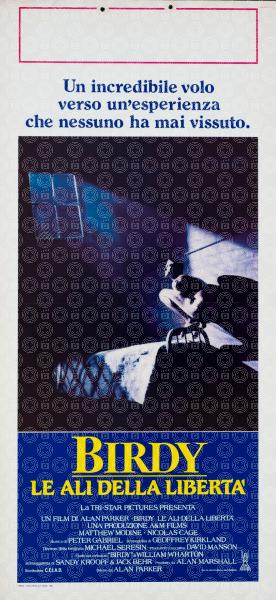 Birdy - Le ali della libertà