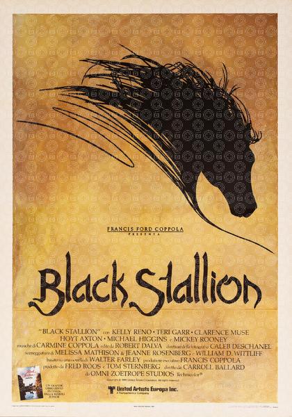 Black Stallion