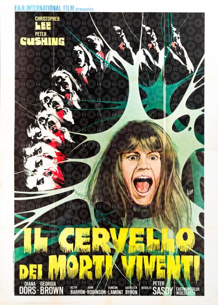 Il cervello dei morti viventi