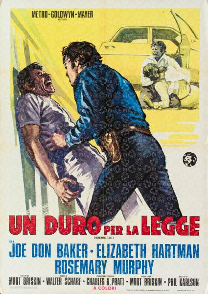 Un duro per la legge