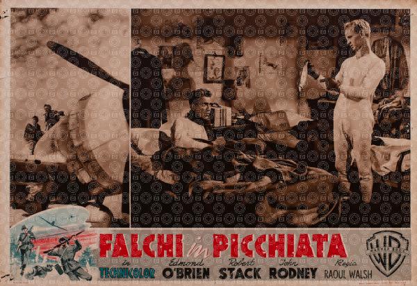 Falchi in picchiata