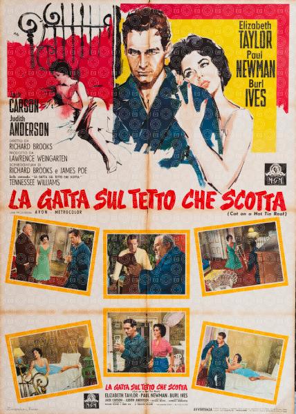 La gatta sul tetto che scotta