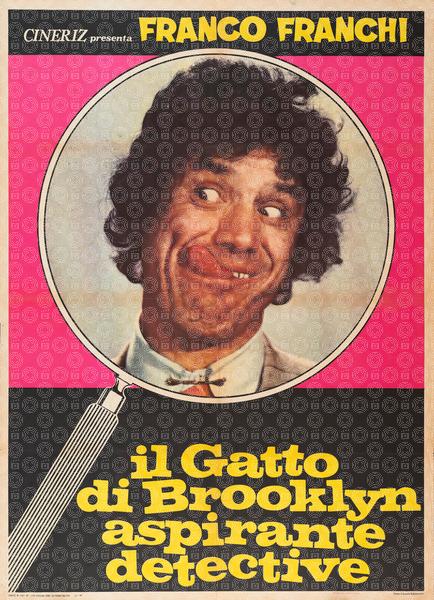Il Gatto di Brooklyn aspirante detective