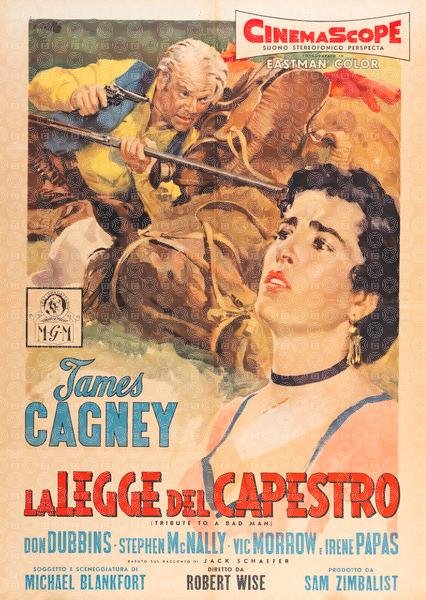 La legge del capestro