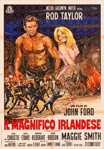 Il magnifico irlandese