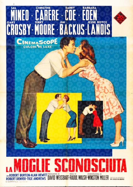 La moglie sconosciuta