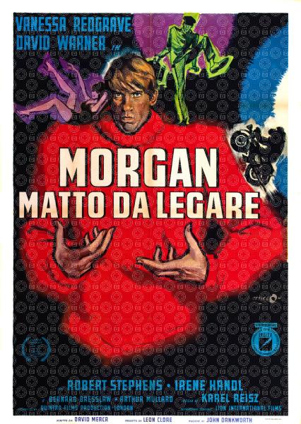 Morgan matto da legare