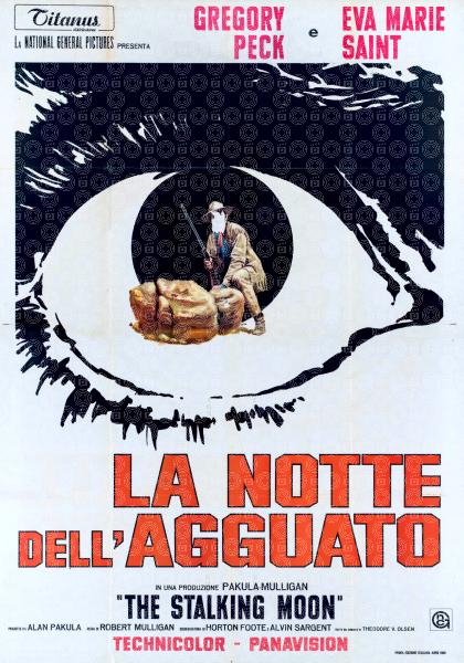 La notte dell'agguato