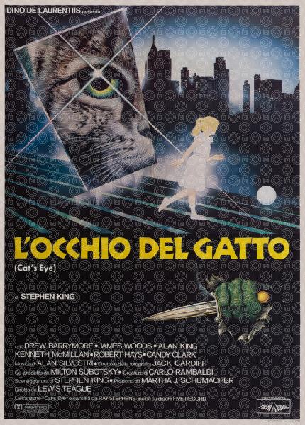 L'occhio del gatto
