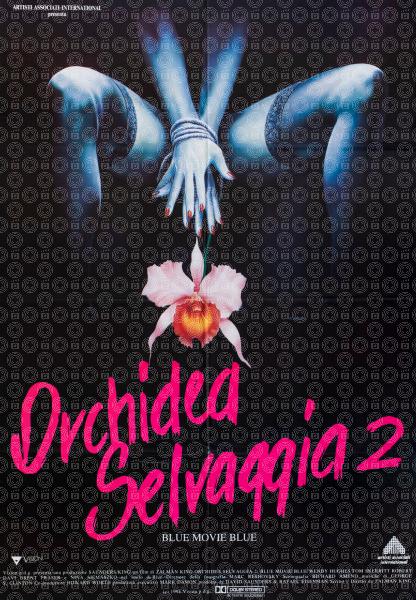 Orchidea selvaggia 2