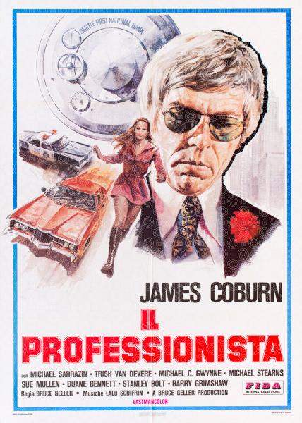 Il professionista