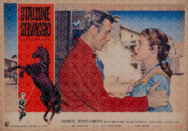 Lo stallone selvaggio