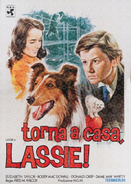 Torna a casa Lassie!