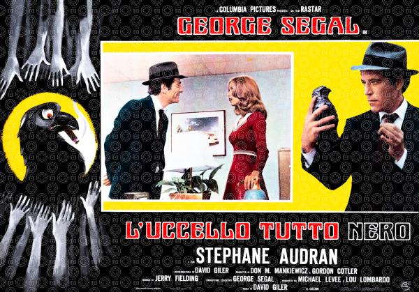 L'uccello tutto nero