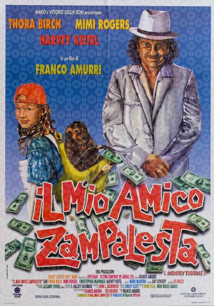 Il mio amico zampalesta