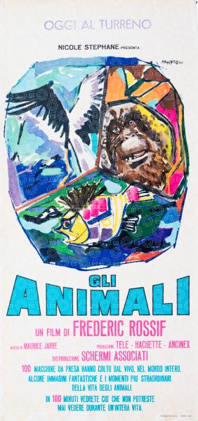 Gli animali