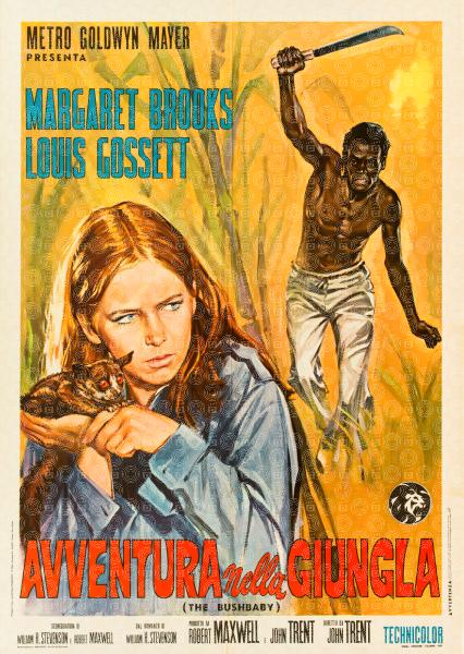 Avventura nella giungla
