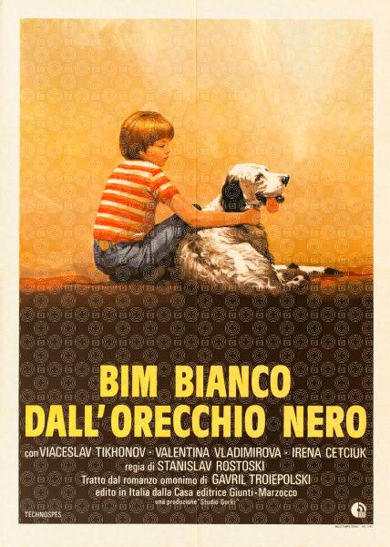 Bim bianco dall'orecchio nero