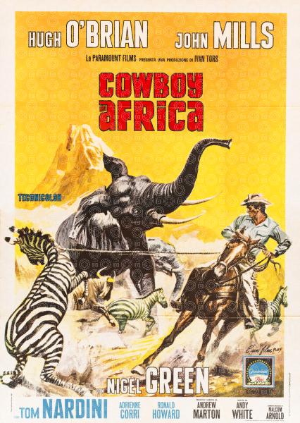 Cowboy in Africa