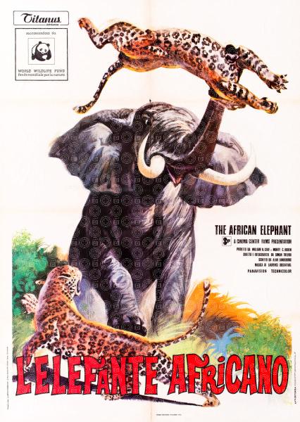 The African Elephant