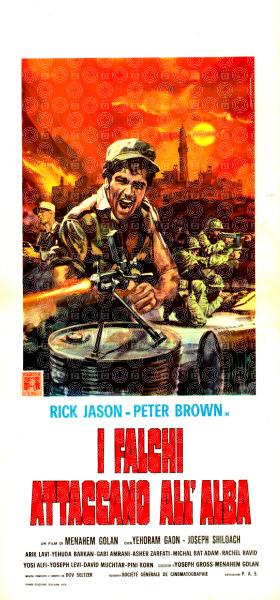 I falchi attaccano all'alba