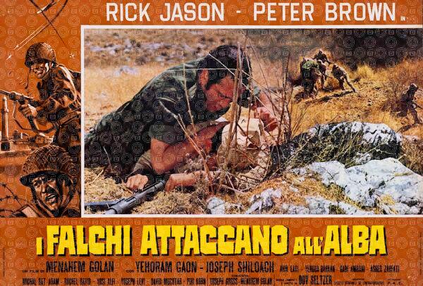 I falchi attaccano all'alba