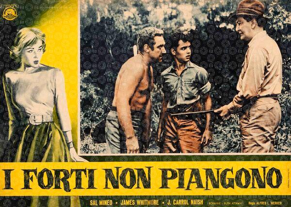 I forti non piangono