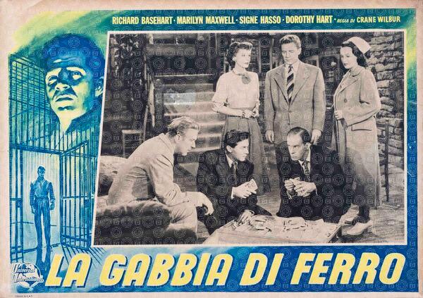 Il gigante della foresta