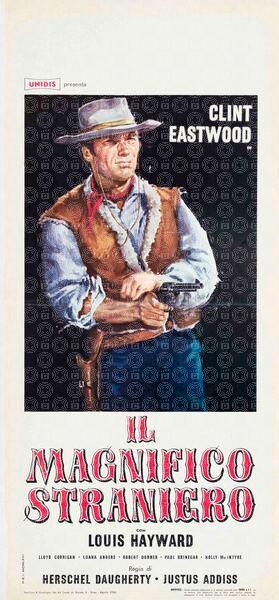 Il magnifico straniero
