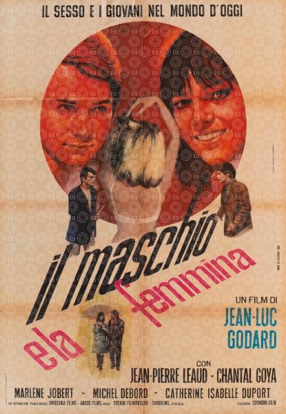 Il maschio e la femmina