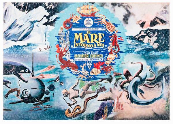 Il mare intorno di noi