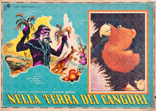 Nella terra dei canguri