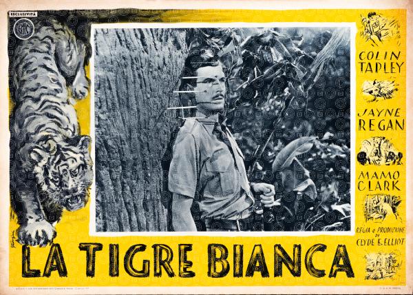 La tigre bianca