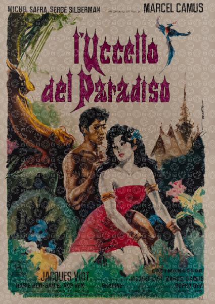 L'uccello del paradiso