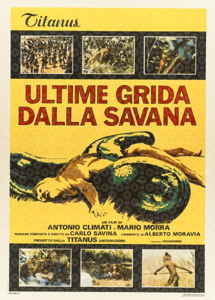Ultime grida dalla savana