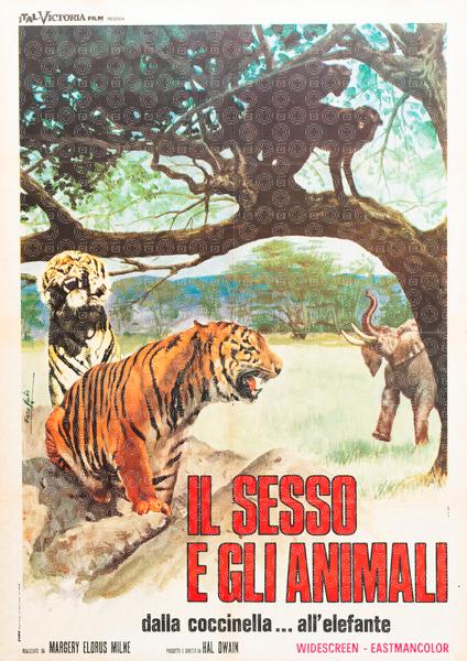 Il sesso e gli animali