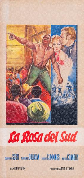 La rosa del sud