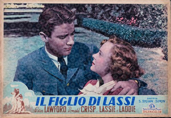 Il figlio di Lassie