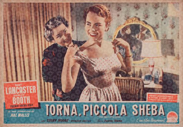 Torna piccola Sheba