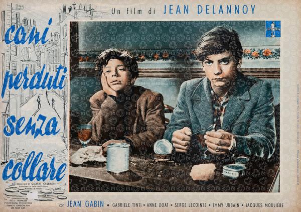 Cani perduti senza collare