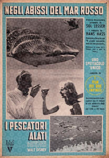 Negli abissi del Mar Rosso