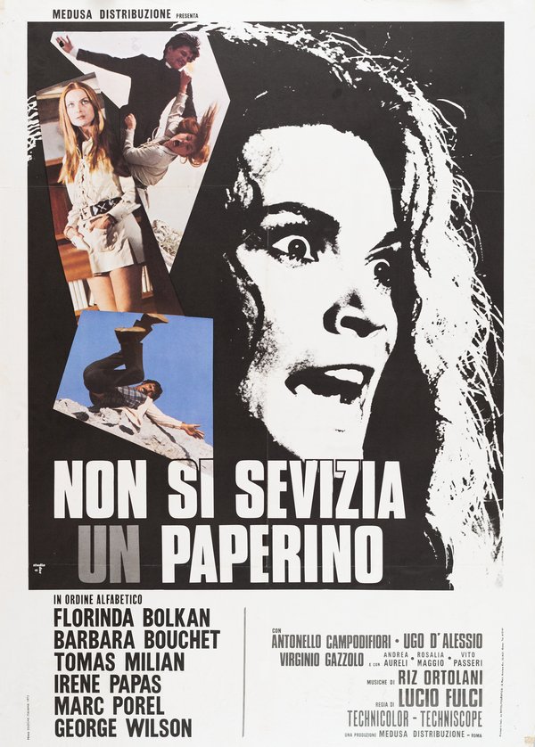 Poster del film Non si sevizia un paperino