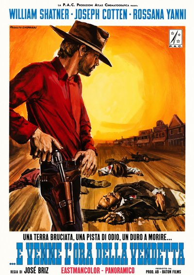 e venne l'ora della vendetta poster